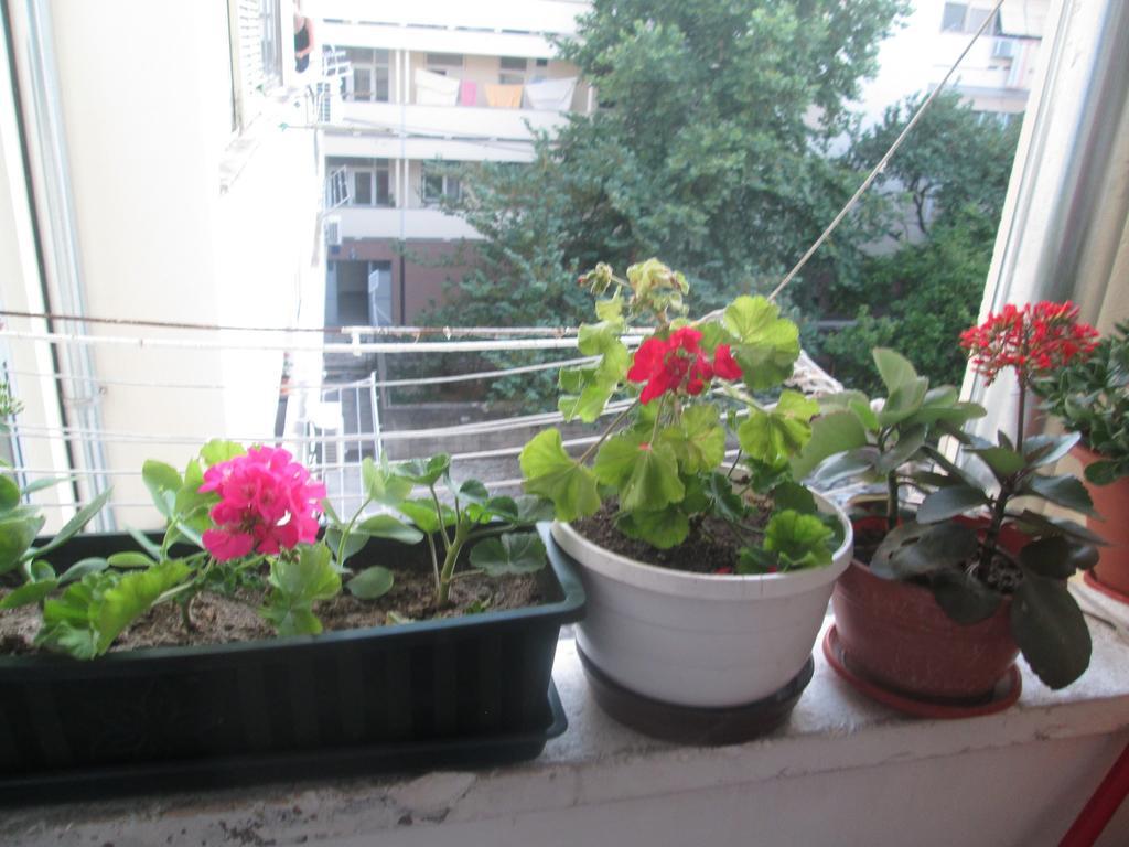 Guest House Marija Zadar Ngoại thất bức ảnh